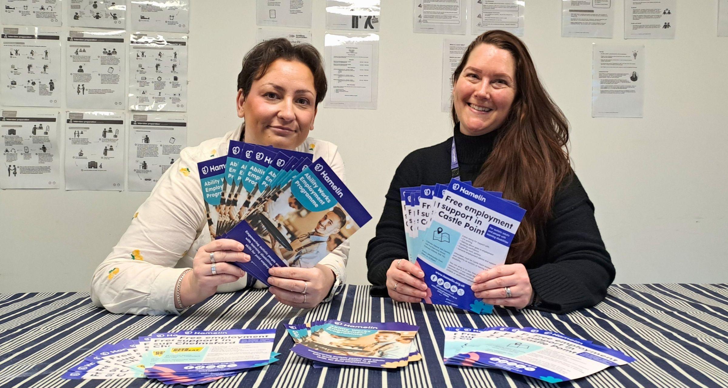 Ability Works Castle Point web