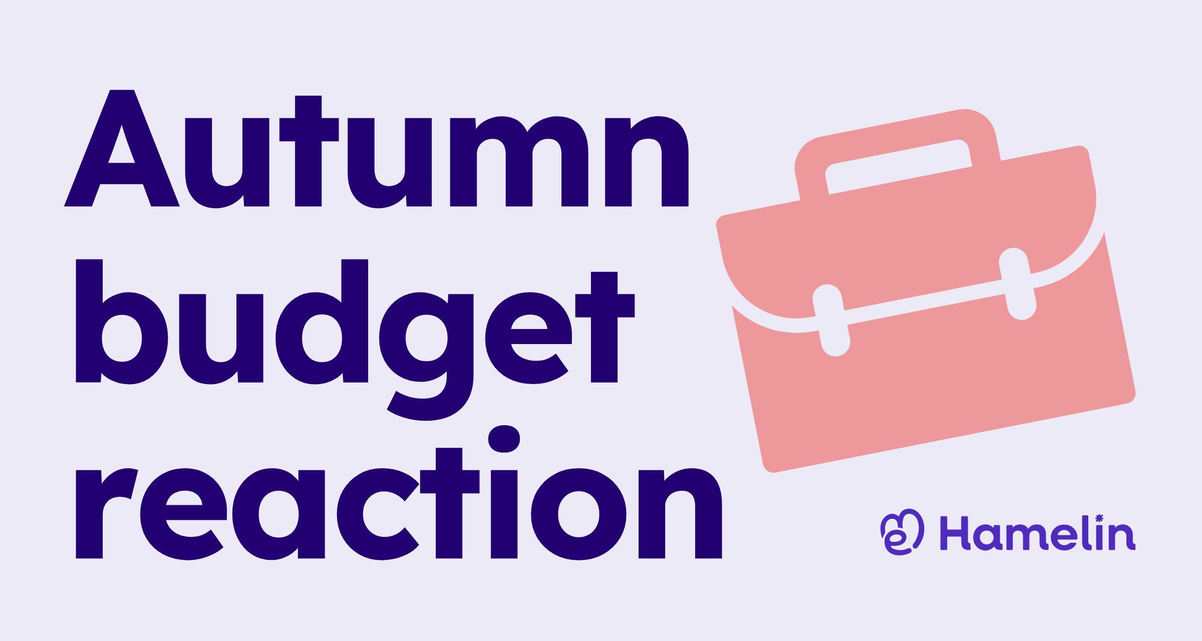 Autumn Budget reaction web 2